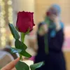 nona.240878