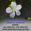 user145920092801