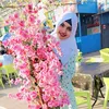 miya.boti6