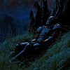 executionr_8058