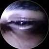 adelahmad004