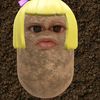 kasyy767