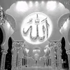 user3080571756905
