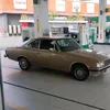irmão opaleiro