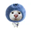 le.dinh.duy0