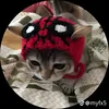taoyeutiktok090