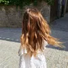 loes1341