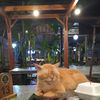 flay_by0