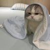 acctn0otfound