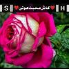 seyam.khan215