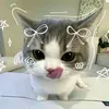 .lnngtran