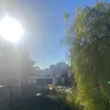 sophia_3814