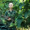 quang.giang.phi