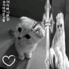 yebak_cgox_