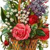 saim.rind5
