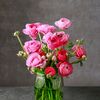 sevgim0255