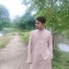 shahin.0181