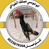 abumoses87