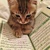 my.shaylah.120