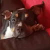 cristal.mariani