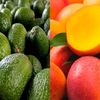 casma.fruits