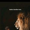 lavina_99996