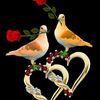 user6129436106518