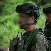 bravo_249