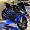 tonylopez690