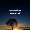 user6781547801056