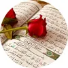 user8143835453016