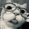 alisyaaaafazaaaaa