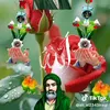 user5802588626630