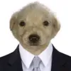 erpepe36