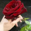 user9434619708461