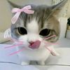 luppgrciee