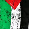 user3197095328344