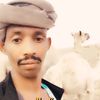 user7236149902876