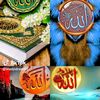 user5824381520137