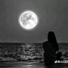 .habiba.ahmed04