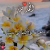 user82381473244691