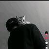 saidovv_2
