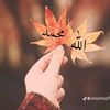 my.love22055