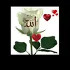user2070822305296