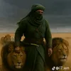 zainand89