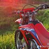 fdog52