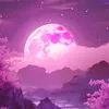 sophyjohnson32