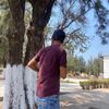 el.jona241