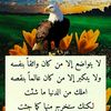 user83195327735292