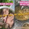 naminhon64